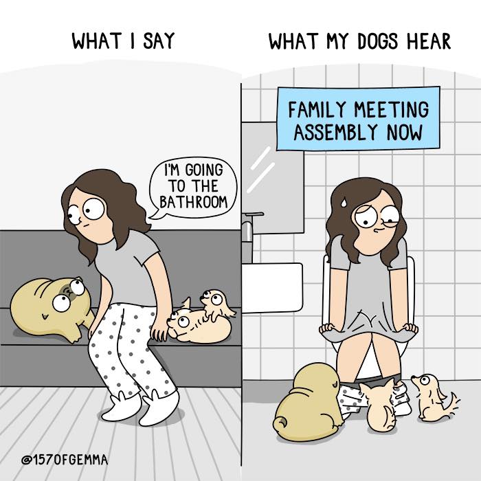 "Living With My Pug Mochi"