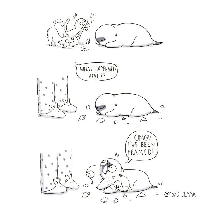 "Living With My Pug Mochi"