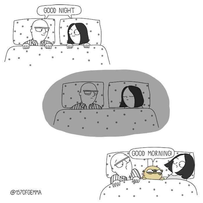 "Living With My Pug Mochi"