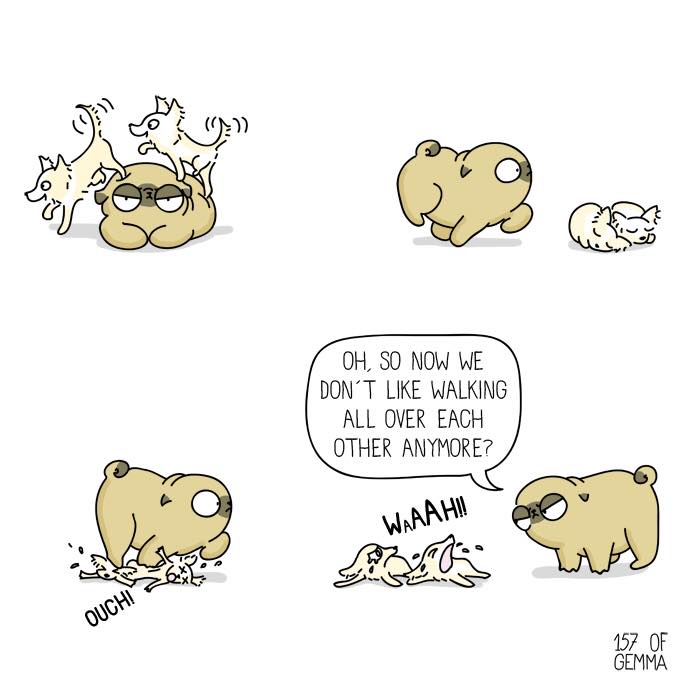 "Living With My Pug Mochi"