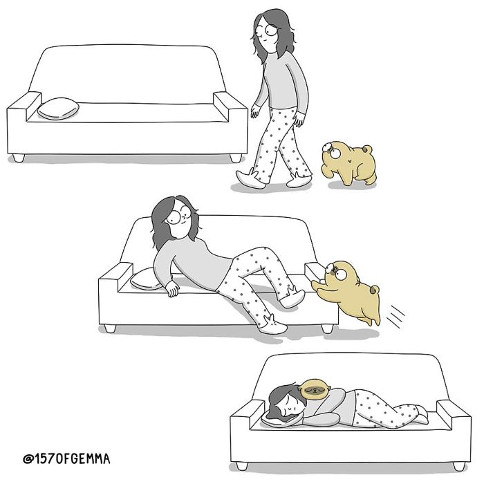 "Living With My Pug Mochi"