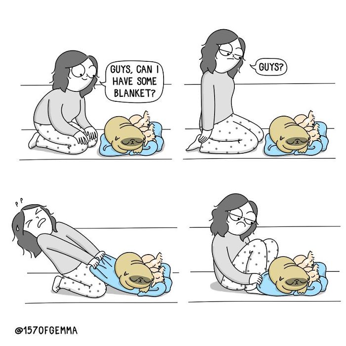 "Living With My Pug Mochi"