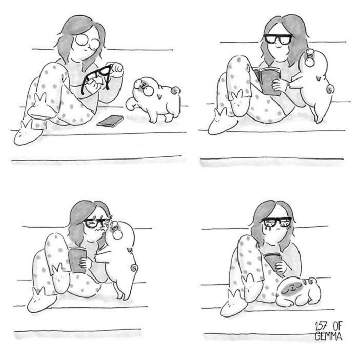 "Living With My Pug Mochi"