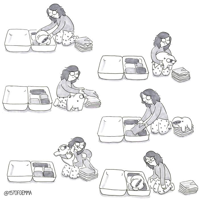 "Living With My Pug Mochi"