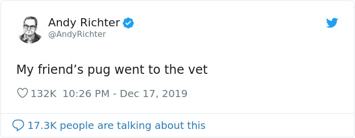 Someone Shows What A Pug's MRI Scan Looks Like And It's Pretty Terrifying