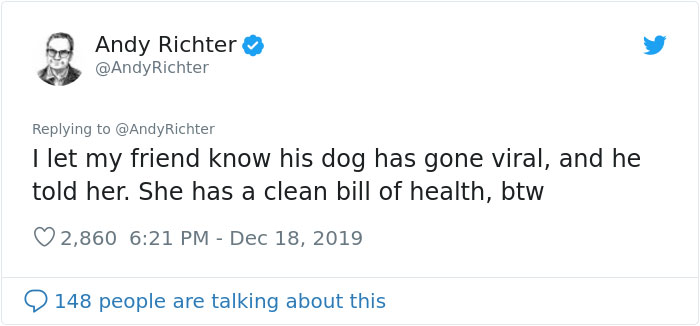 Someone Shows What A Pug's MRI Scan Looks Like And It's Pretty Terrifying Someone Shows What A Pug's MRI Scan Looks Like And It's Pretty Terrifying