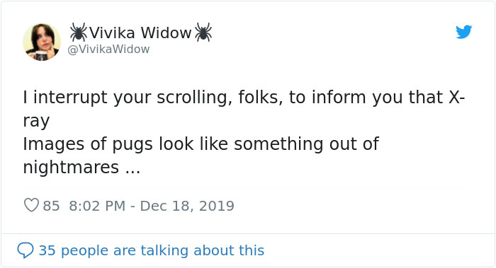 Someone Shows What A Pug's MRI Scan Looks Like And It's Pretty Terrifying