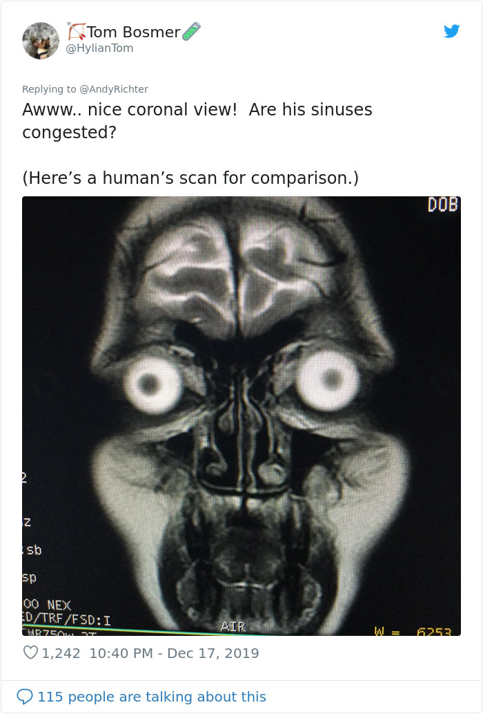 Someone Shows What A Pug's MRI Scan Looks Like And It's Pretty Terrifying
