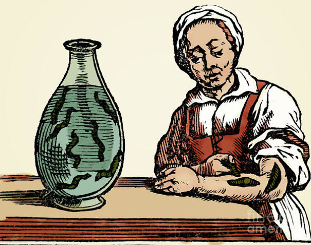 Leeches For Everyone