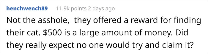 Guy Finds Lost Cat, Brings It To Its Owners, Asks For $500 Promised Reward, Gets Sneered At And Judged