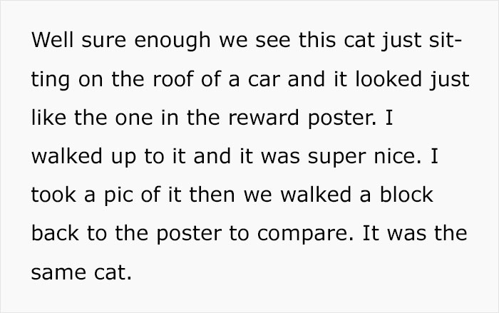 Guy Finds Lost Cat, Brings It To Its Owners, Asks For $500 Promised Reward, Gets Sneered At And Judged Guy Finds Lost Cat, Brings It To Its Owners, Asks For $500 Promised Reward, Gets Sneered At And Judged