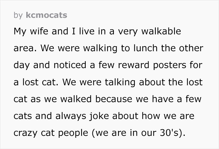 Guy Finds Lost Cat, Brings It To Its Owners, Asks For $500 Promised Reward, Gets Sneered At And Judged
