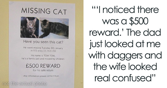 Guy Finds Lost Cat, Brings It To Its Owners, Asks For $500 Promised Reward, Gets Sneered At And Judged