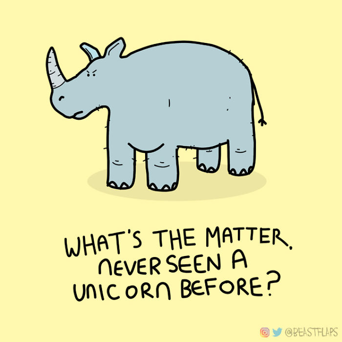 I Decided To Get Myself Out Of A Creative Rut This Year By Promising To Draw One Grumpy Animal Every Single Day