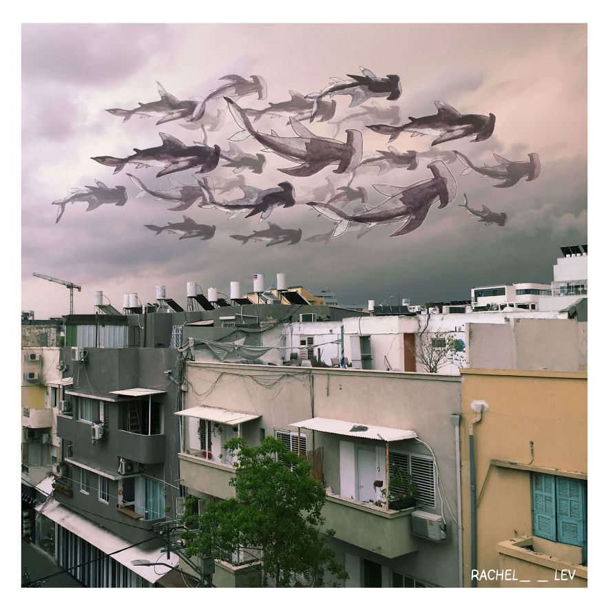 I Create Imaginary Illustrations To Save The Ocean