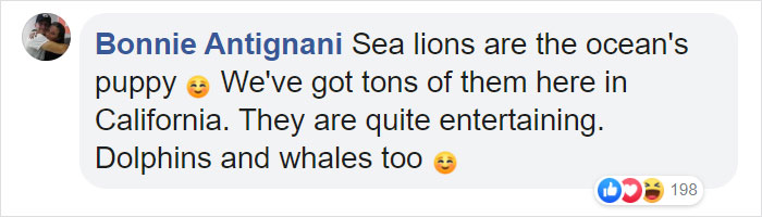 Two Gigantic Sea Lions “Borrow” Someone’s Boat, And The Video Is Ridiculous Two Gigantic Sea Lions “Borrow” Someone’s Boat, And The Video Is Ridiculous