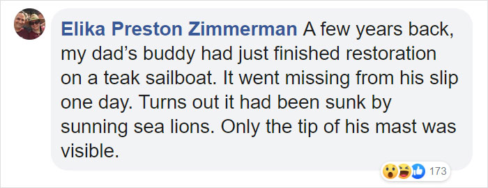 Two Gigantic Sea Lions “Borrow” Someone’s Boat, And The Video Is Ridiculous Two Gigantic Sea Lions “Borrow” Someone’s Boat, And The Video Is Ridiculous