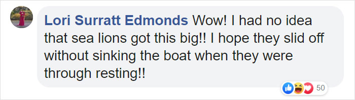 Two Gigantic Sea Lions “Borrow” Someone’s Boat, And The Video Is Ridiculous Two Gigantic Sea Lions “Borrow” Someone’s Boat, And The Video Is Ridiculous