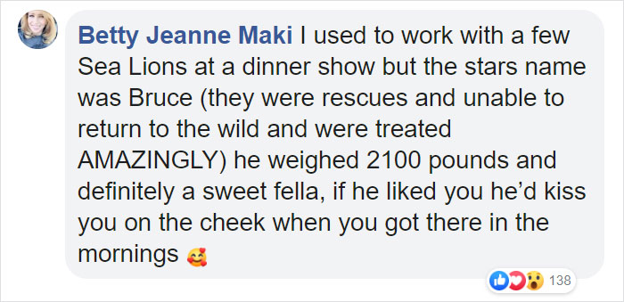 Two Gigantic Sea Lions “Borrow” Someone’s Boat, And The Video Is Ridiculous Two Gigantic Sea Lions “Borrow” Someone’s Boat, And The Video Is Ridiculous