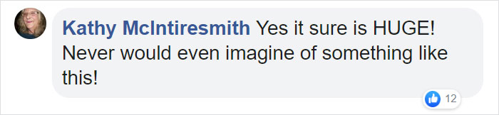 Two Gigantic Sea Lions “Borrow” Someone’s Boat, And The Video Is Ridiculous Two Gigantic Sea Lions “Borrow” Someone’s Boat, And The Video Is Ridiculous