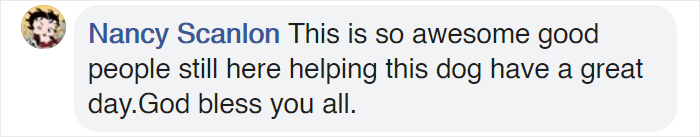 This Good Girl Takes The Bus Everyday To The Dog Park All By Herself And Even Has Her Own Bus Pass Attached To Her Collar This Good Girl Takes The Bus Everyday To The Dog Park All By Herself And Even Has Her Own Bus Pass Attached To Her Collar