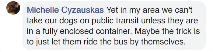 This Good Girl Takes The Bus Everyday To The Dog Park All By Herself And Even Has Her Own Bus Pass Attached To Her Collar This Good Girl Takes The Bus Everyday To The Dog Park All By Herself And Even Has Her Own Bus Pass Attached To Her Collar