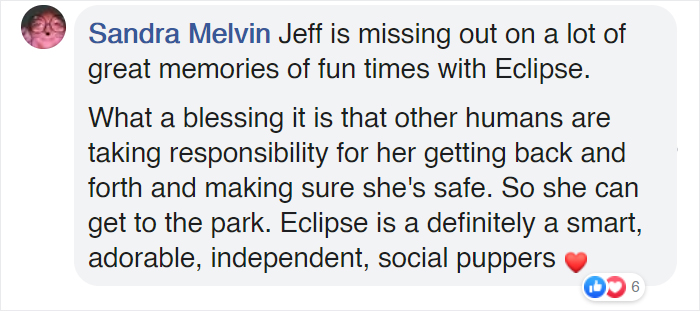 This Good Girl Takes The Bus Everyday To The Dog Park All By Herself And Even Has Her Own Bus Pass Attached To Her Collar This Good Girl Takes The Bus Everyday To The Dog Park All By Herself And Even Has Her Own Bus Pass Attached To Her Collar