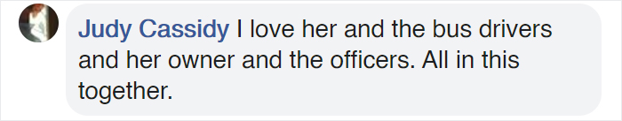 This Good Girl Takes The Bus Everyday To The Dog Park All By Herself And Even Has Her Own Bus Pass Attached To Her Collar This Good Girl Takes The Bus Everyday To The Dog Park All By Herself And Even Has Her Own Bus Pass Attached To Her Collar