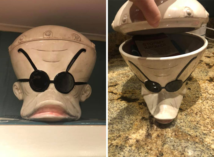 A Dr. Finkelstein Cookie Jar