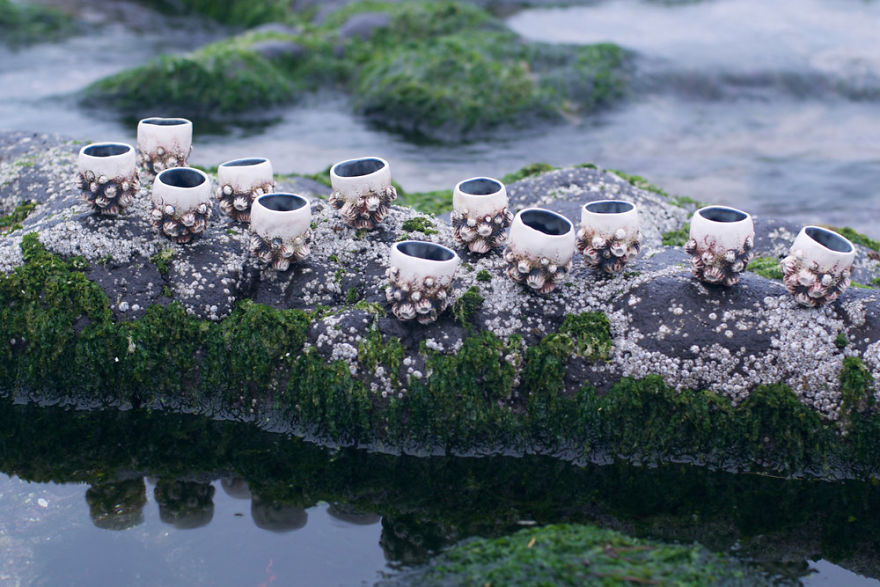 I Create Detailed Glass and Ceramic Artwork Inspired By Nature (32 Pics) I Create Detailed Glass and Ceramic Artwork Inspired By Nature (32 Pics)