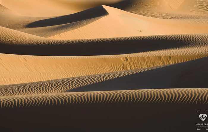 Photographer Shoots A Stunning Photograph That Took Ages To Plan Photographer Shoots A Stunning Photograph That Took Ages To Plan