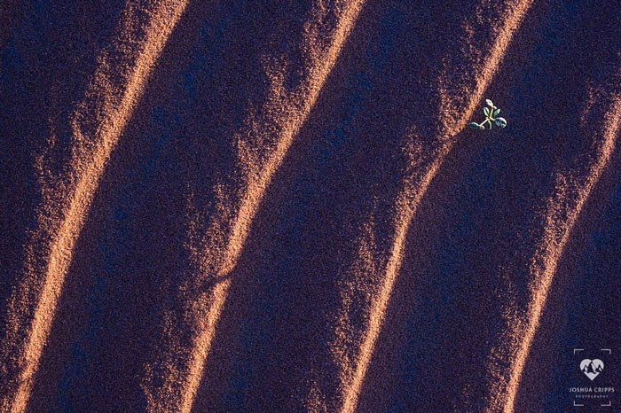 Photographer Shoots A Stunning Photograph That Took Ages To Plan