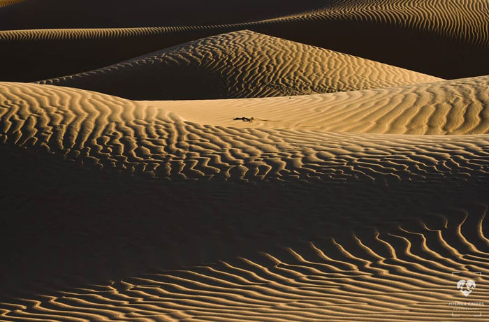 Photographer Shoots A Stunning Photograph That Took Ages To Plan