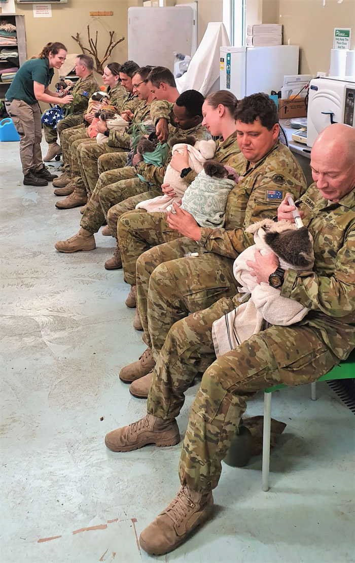 Australian Army Soldiers Spend Their Rest Time Caring For Koalas Affected By The Bushfires