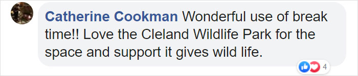 Australian Army Soldiers Spend Their Rest Time Caring For Koalas Affected By The Bushfires