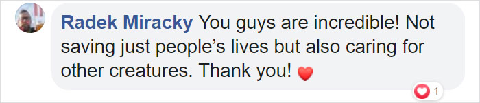Australian Army Soldiers Spend Their Rest Time Caring For Koalas Affected By The Bushfires Australian Army Soldiers Spend Their Rest Time Caring For Koalas Affected By The Bushfires