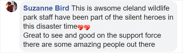 Australian Army Soldiers Spend Their Rest Time Caring For Koalas Affected By The Bushfires Australian Army Soldiers Spend Their Rest Time Caring For Koalas Affected By The Bushfires