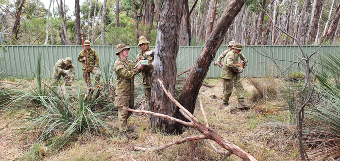 Australian Army Soldiers Spend Their Rest Time Caring For Koalas Affected By The Bushfires Australian Army Soldiers Spend Their Rest Time Caring For Koalas Affected By The Bushfires