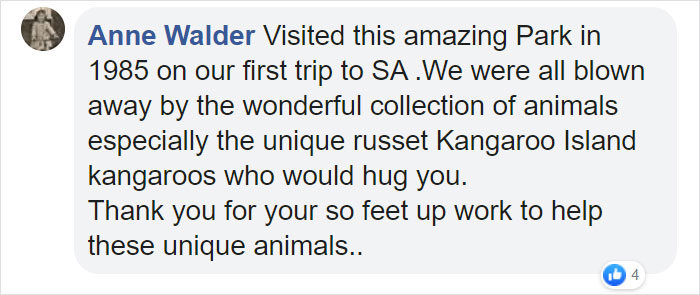 Australian Army Soldiers Spend Their Rest Time Caring For Koalas Affected By The Bushfires Australian Army Soldiers Spend Their Rest Time Caring For Koalas Affected By The Bushfires