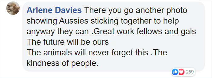 Australian Army Soldiers Spend Their Rest Time Caring For Koalas Affected By The Bushfires