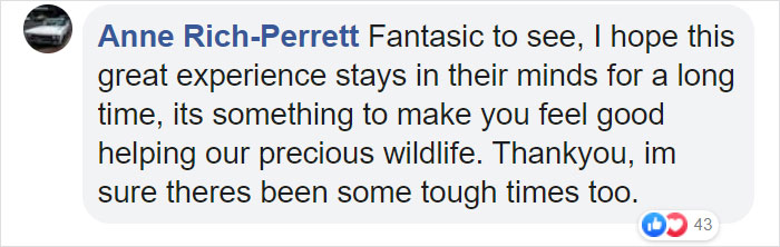 Australian Army Soldiers Spend Their Rest Time Caring For Koalas Affected By The Bushfires