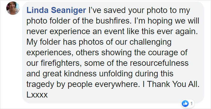 Australian Army Soldiers Spend Their Rest Time Caring For Koalas Affected By The Bushfires