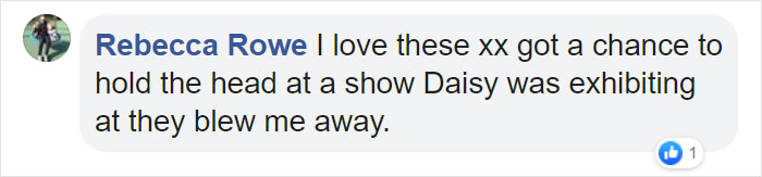 Artist Creates Squishy Flesh Suits And It's Definitely Not For Everyone (19 Pics) Artist Creates Squishy Flesh Suits And It's Definitely Not For Everyone (19 Pics)