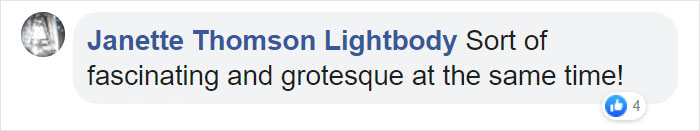 Artist Creates Squishy Flesh Suits And It's Definitely Not For Everyone (19 Pics)