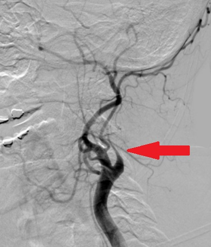 5-Year-Old Notices Mom Collapsing So She FaceTimes Her Dad, And People Are Saying The Family Would Be Broke If It Were The US 5-Year-Old Notices Mom Collapsing So She FaceTimes Her Dad, And People Are Saying The Family Would Be Broke If It Were The US