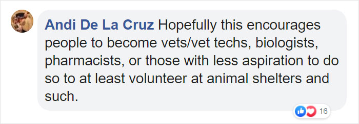 Vets Save Man’s Dog From Cancer, He Thanks Them With A $6M Super Bowl Ad Vets Save Man’s Dog From Cancer, He Thanks Them With A $6M Super Bowl Ad