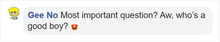 Vets Save Man’s Dog From Cancer, He Thanks Them With A $6M Super Bowl Ad Vets Save Man’s Dog From Cancer, He Thanks Them With A $6M Super Bowl Ad