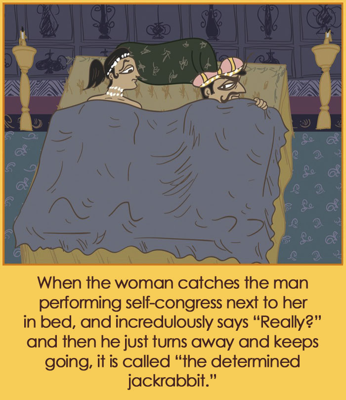 The-Married-Kama-Sutra-Illustrations-Simon-Rich-Farley-Katz