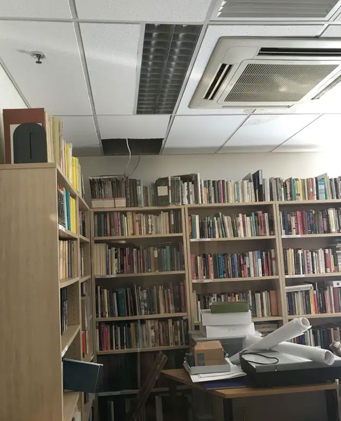 Possum Trashes Woman's Office In Australia, Becomes A Meme Possum Trashes Woman's Office In Australia, Becomes A Meme