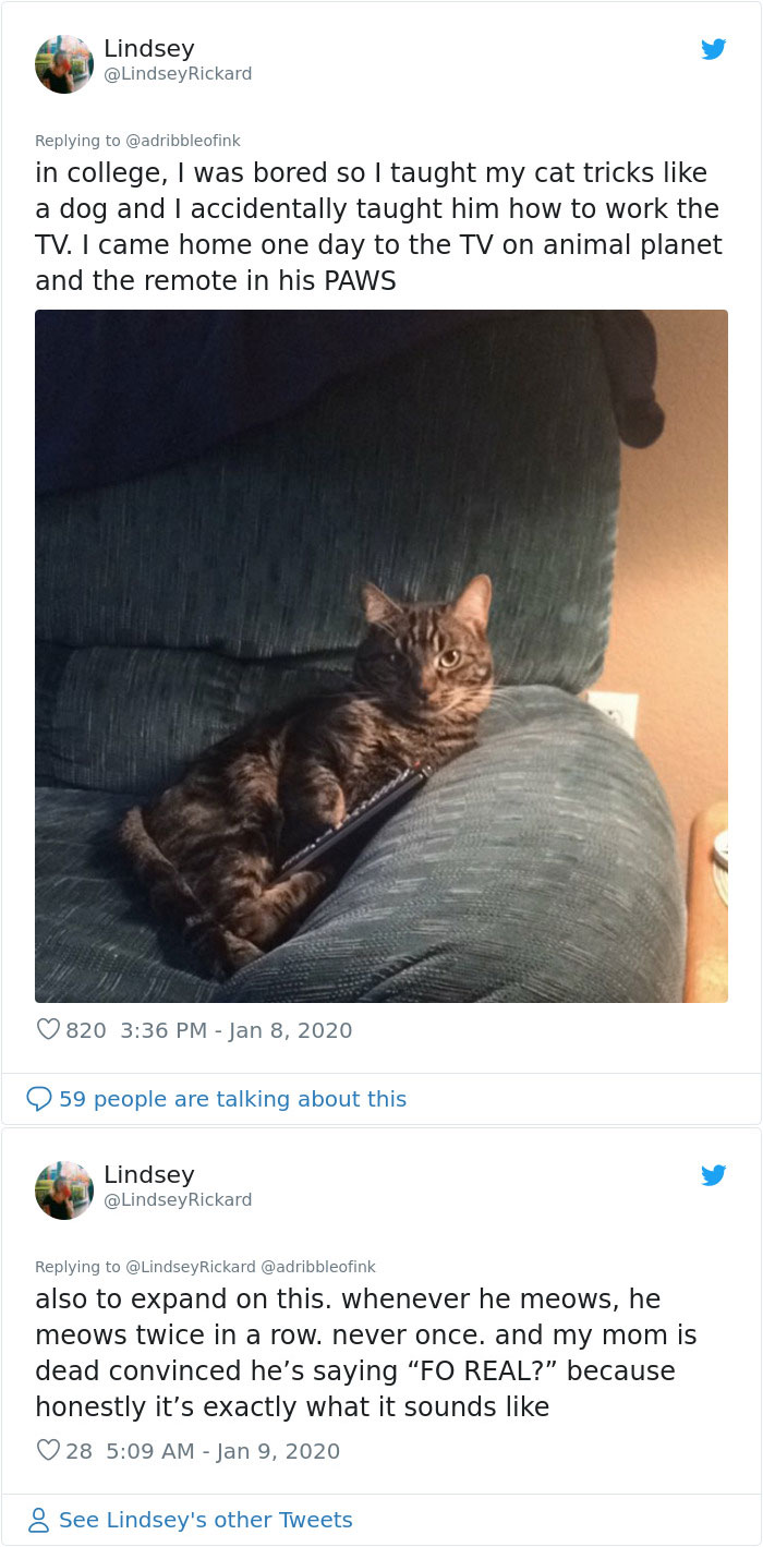 True-Story-Sounds-Like-Lie